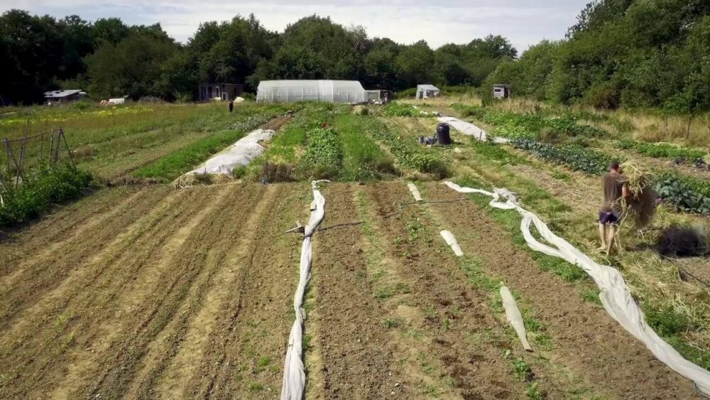 Je n’étais jamais venue sur la ZAD