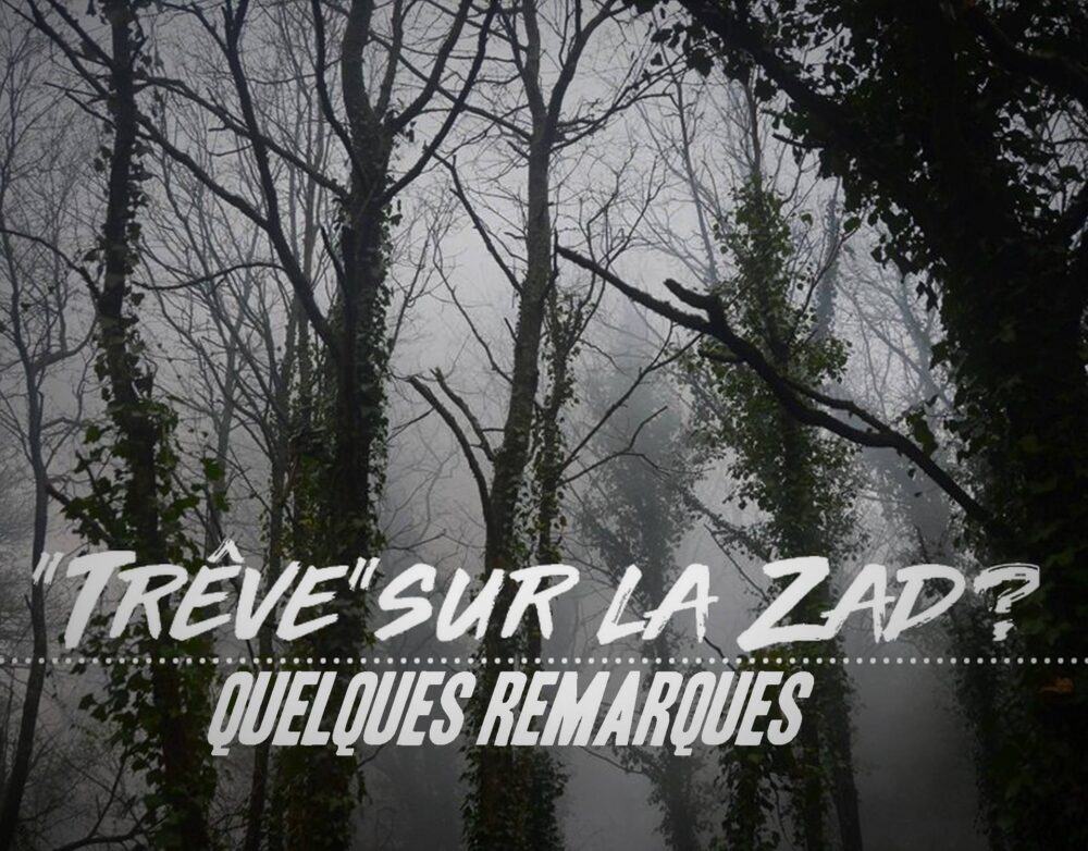 «Trêve» sur la ZAD – Quelques remarques