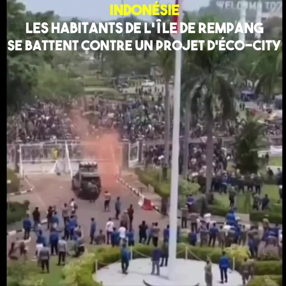 Indonésie : îles en lutte contre un projet « d’éco-city »