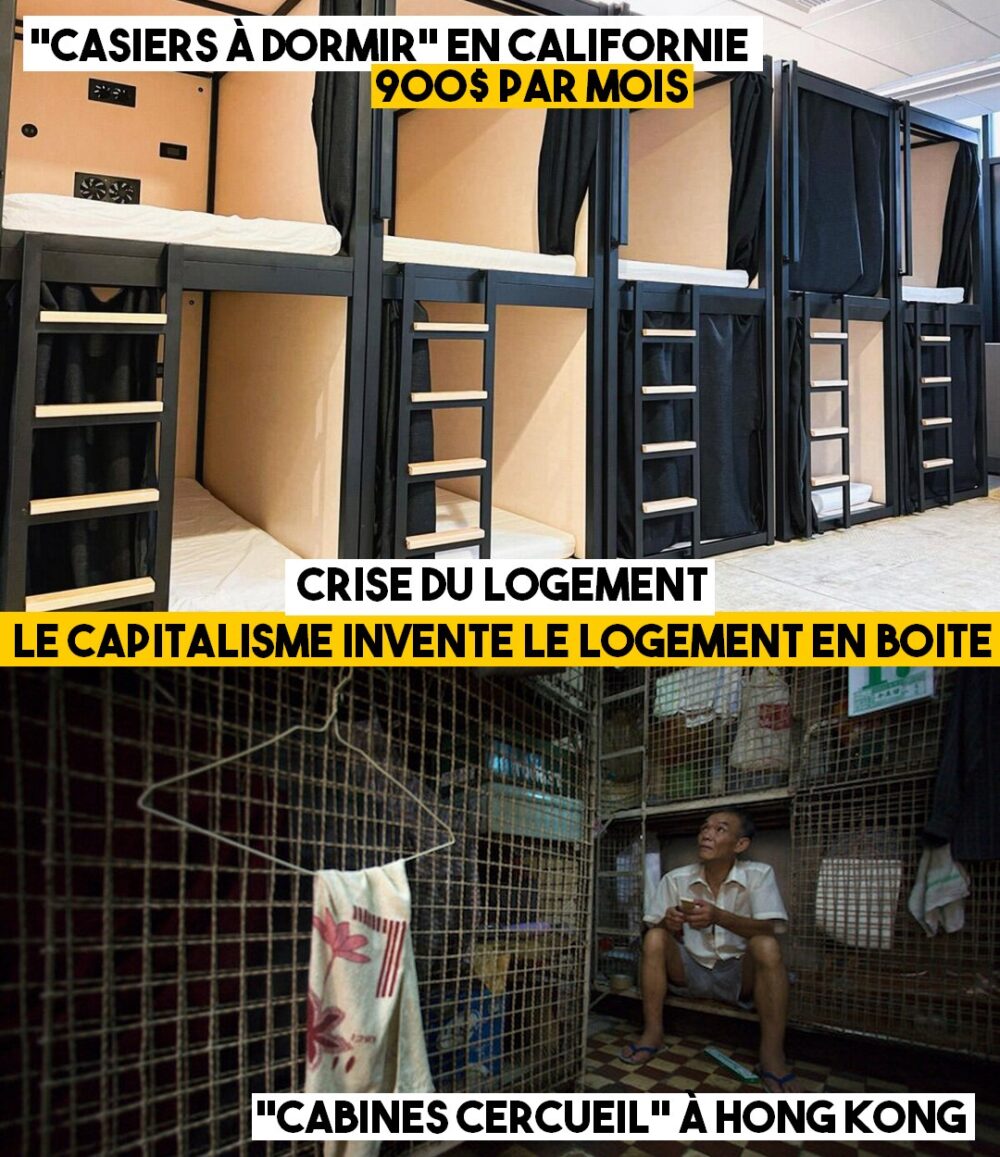 Crise du logement : vivre dans des boîtes