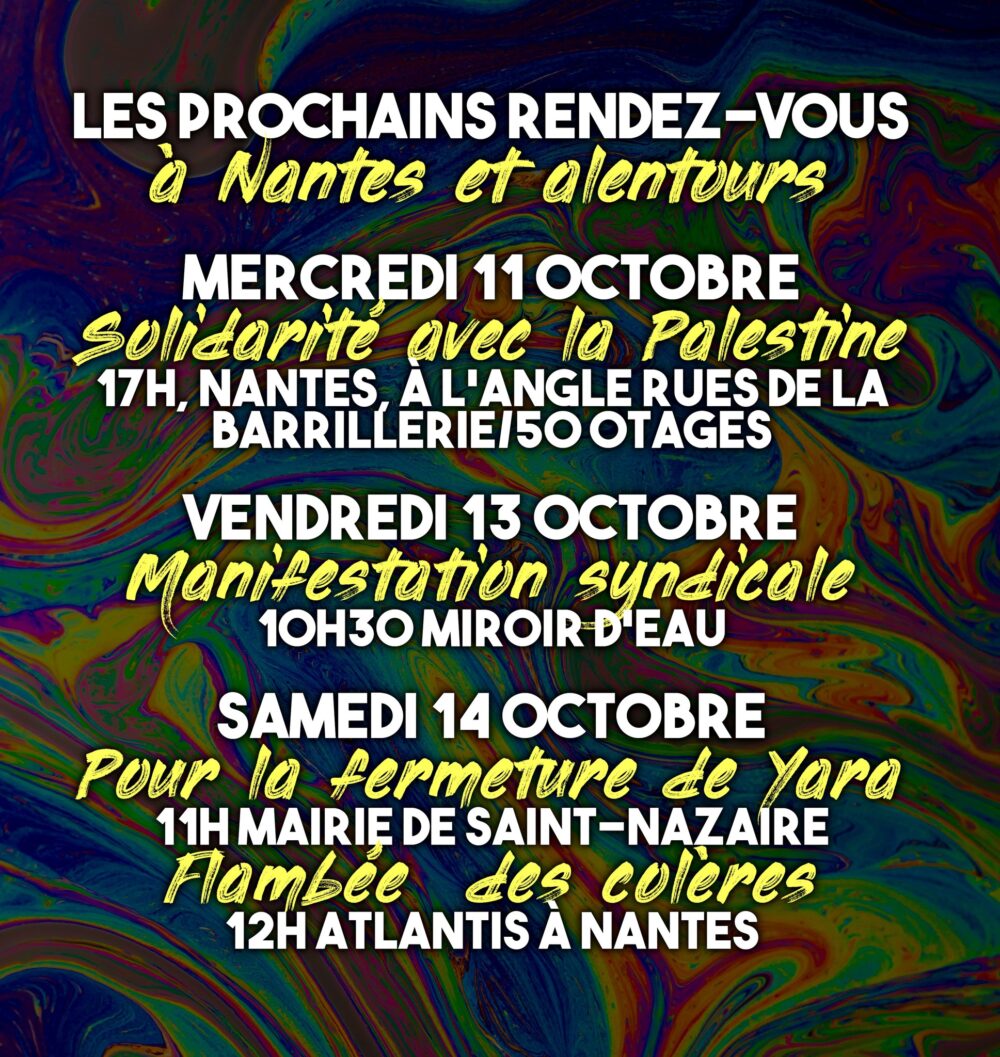 Les rendez-vous cette semaine à Nantes et alentours
