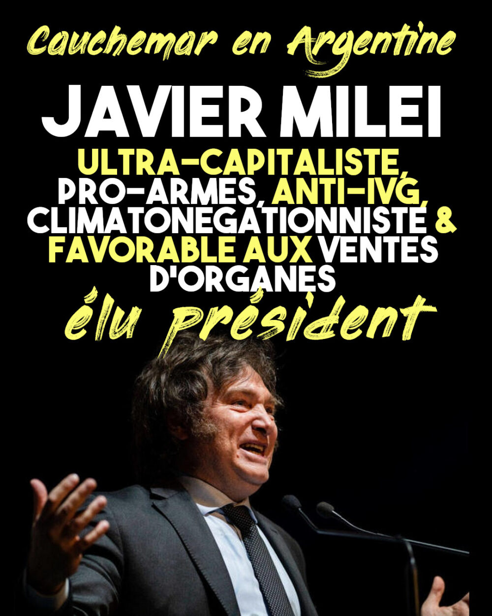 Horreur en Argentine : le fasciste ultra-capitaliste Milei remporte les élections