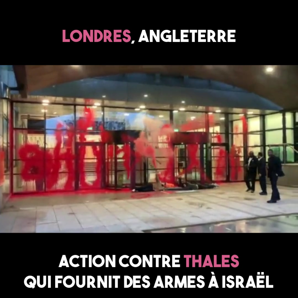 Pour la Palestine : actions internationales