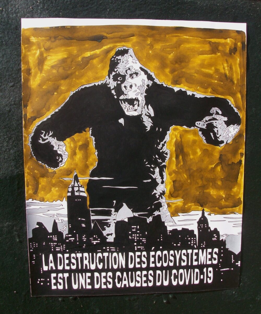 Vu à Nantes
