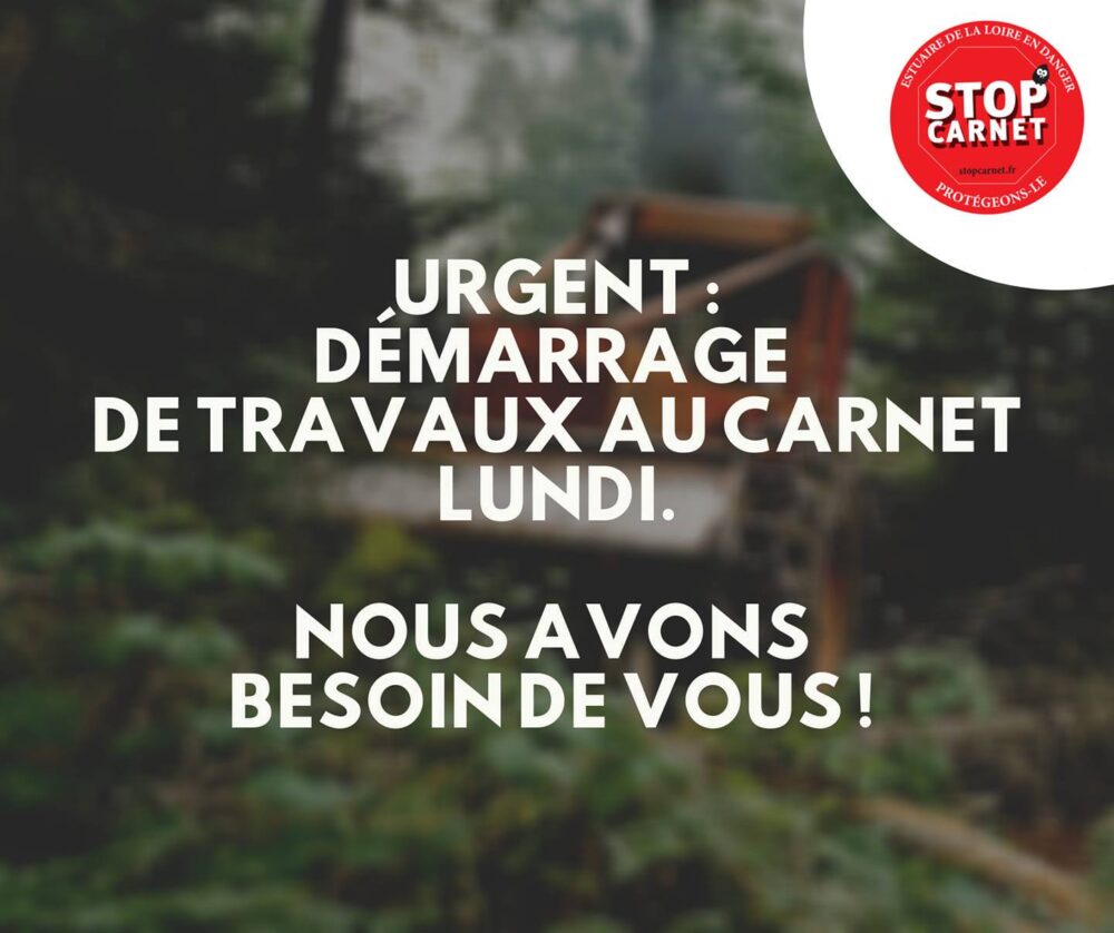 Urgent : des travaux destructeurs prévus dès lundi au Carnet en bord de Loire