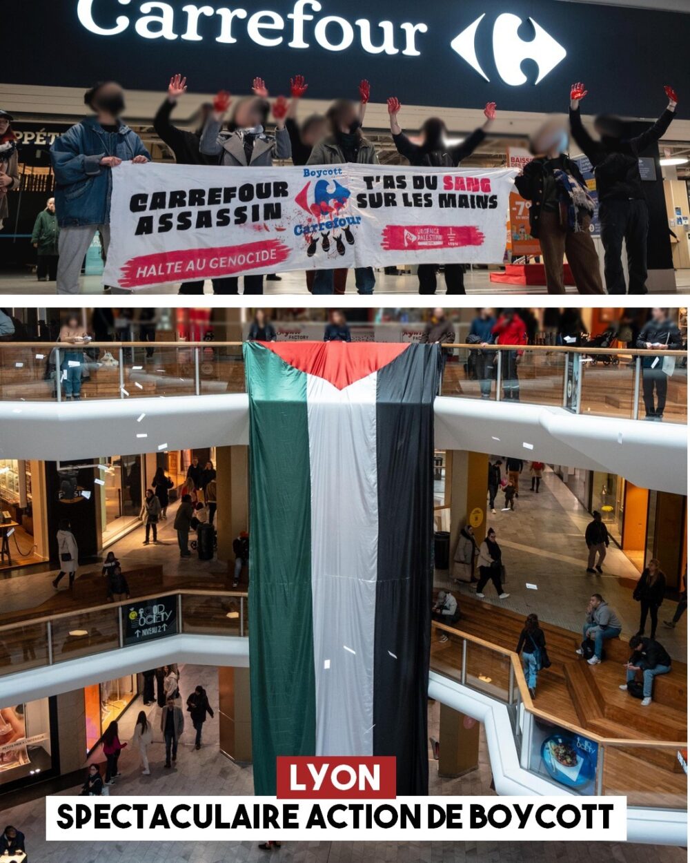 Lyon : action de boycott spectaculaire contre Carrefour