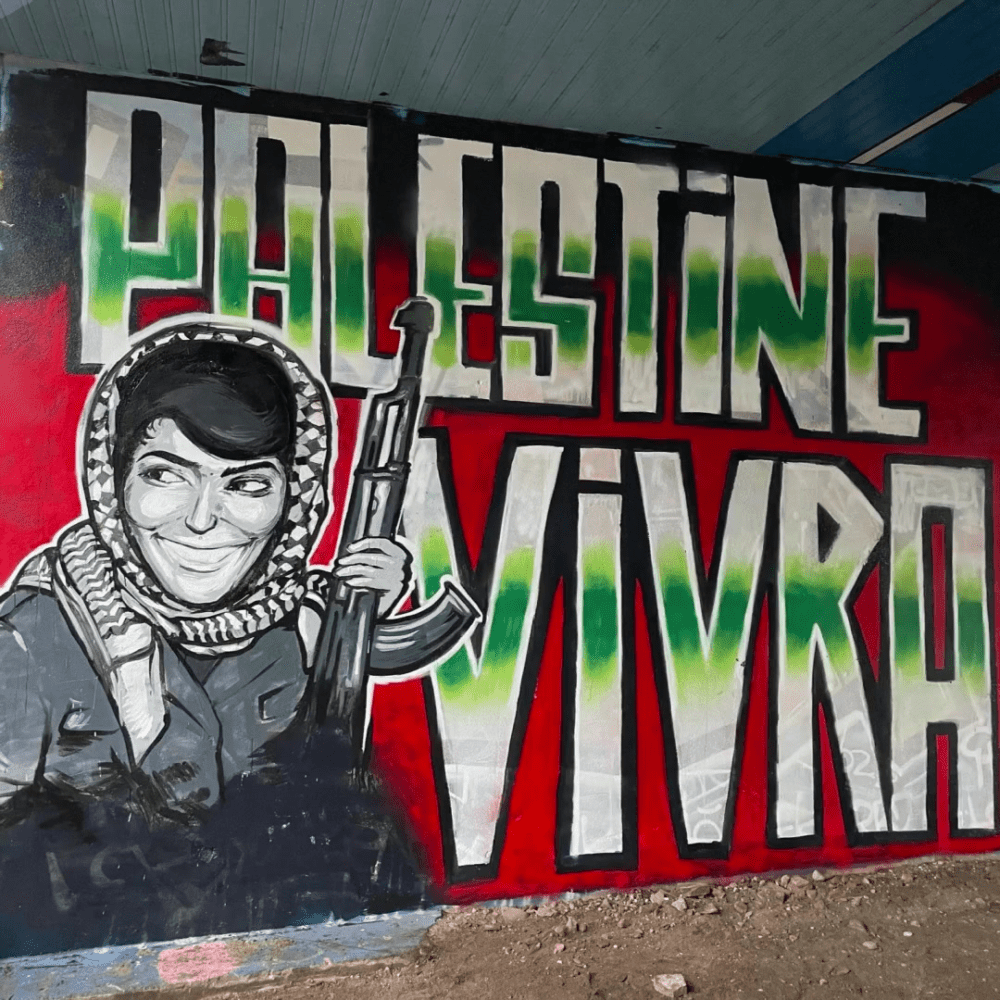 «Palestine vivra» sur les murs de Nantes