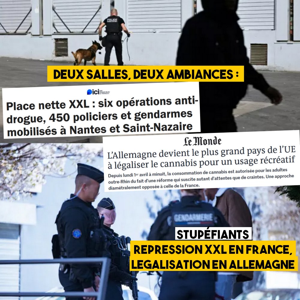 “Opération place nette” : Répression XXL en France, légalisation en Allemagne