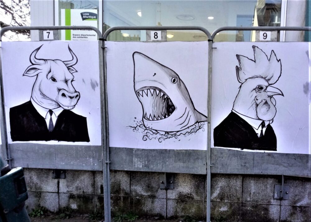 Enfin des candidats qui ont de la gueule