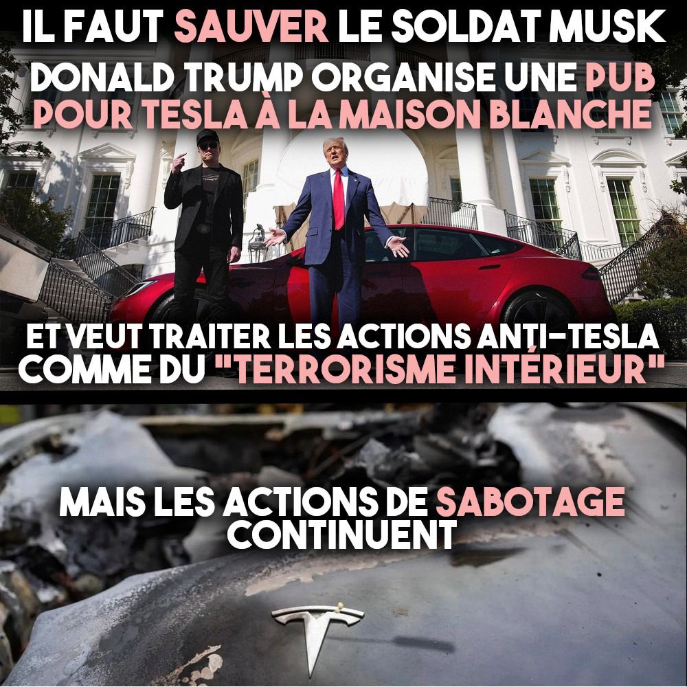 En haut : Donald Trump achète une Tesla à Elon Musk devant la Maison Blanche.
En bas : le capot d'une Tesla incendiée.