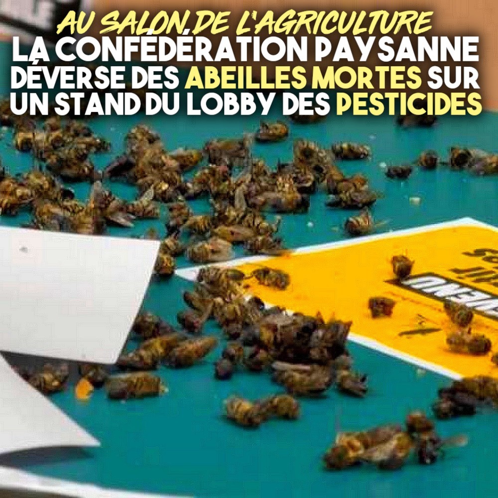 Des abeilles mortes déposées au Salon de l'Agriculture : une conséquence directe des pesticides.