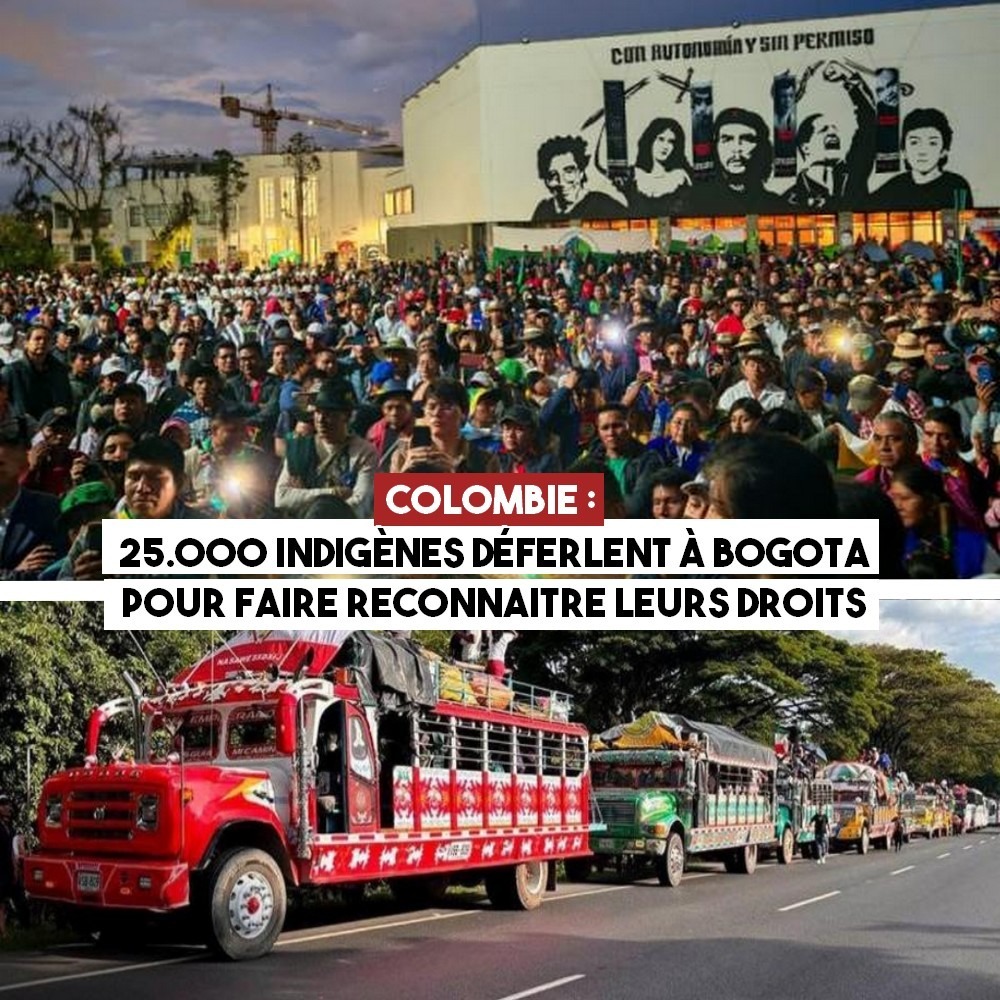 Une foule nombreuse à Bogotá pour une Minga, une mobilisation indigène.