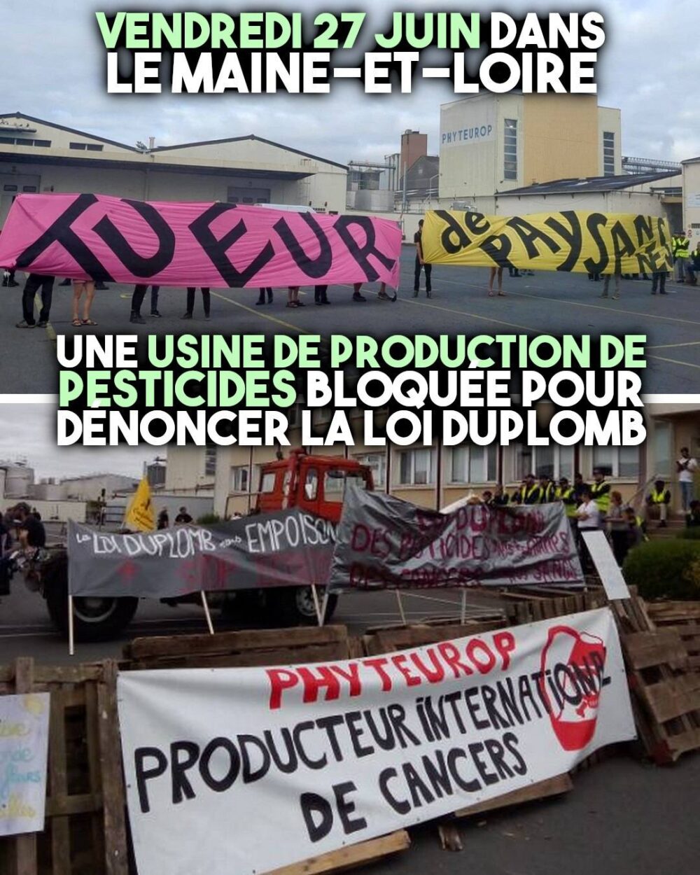 À Montreuil-Bellay, une action contre la loi Duplomb, écrite par et pour le lobby agro-industriel