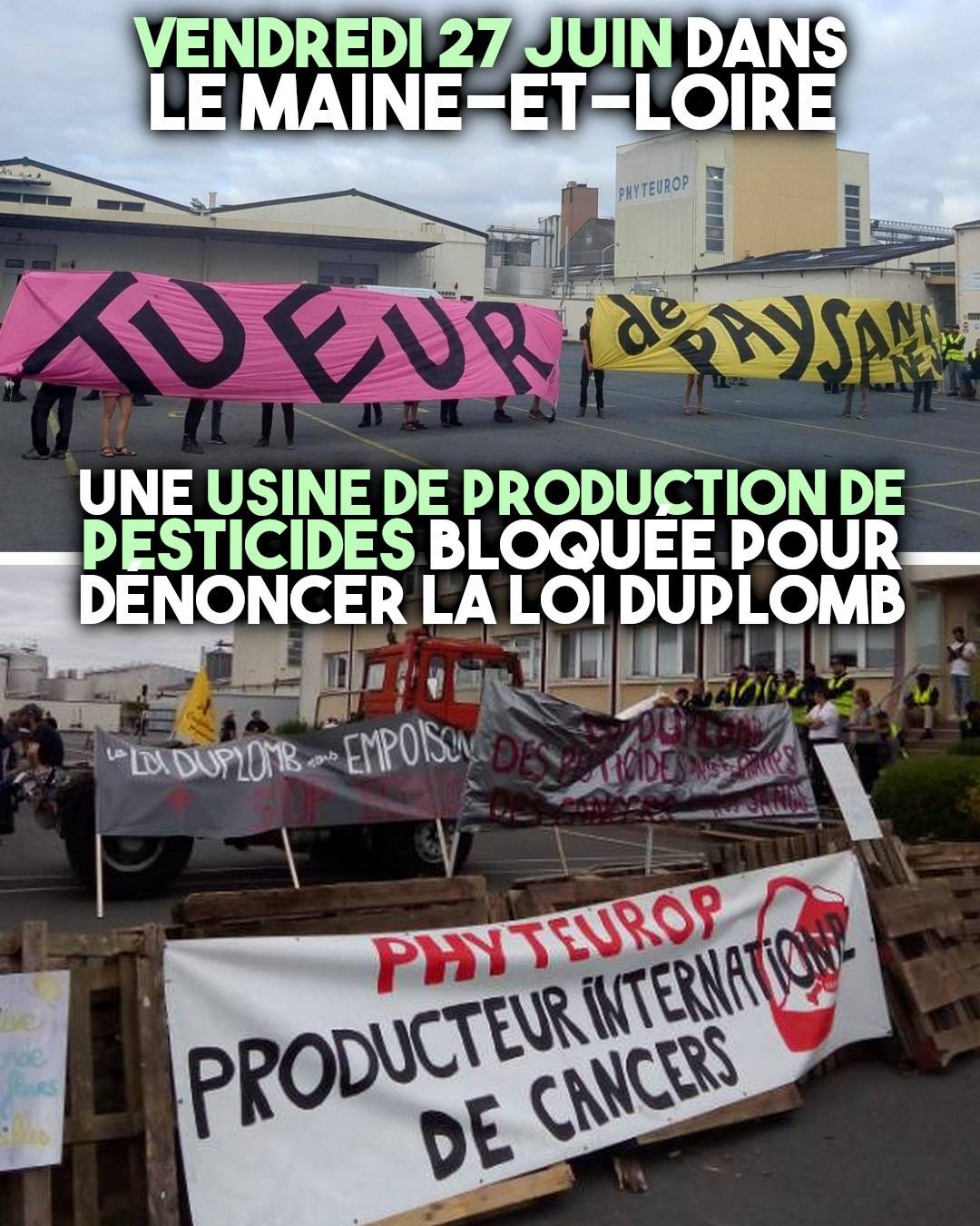À Montreuil-Bellay, une action contre la loi Duplomb, écrite par et pour le lobby agro-industriel