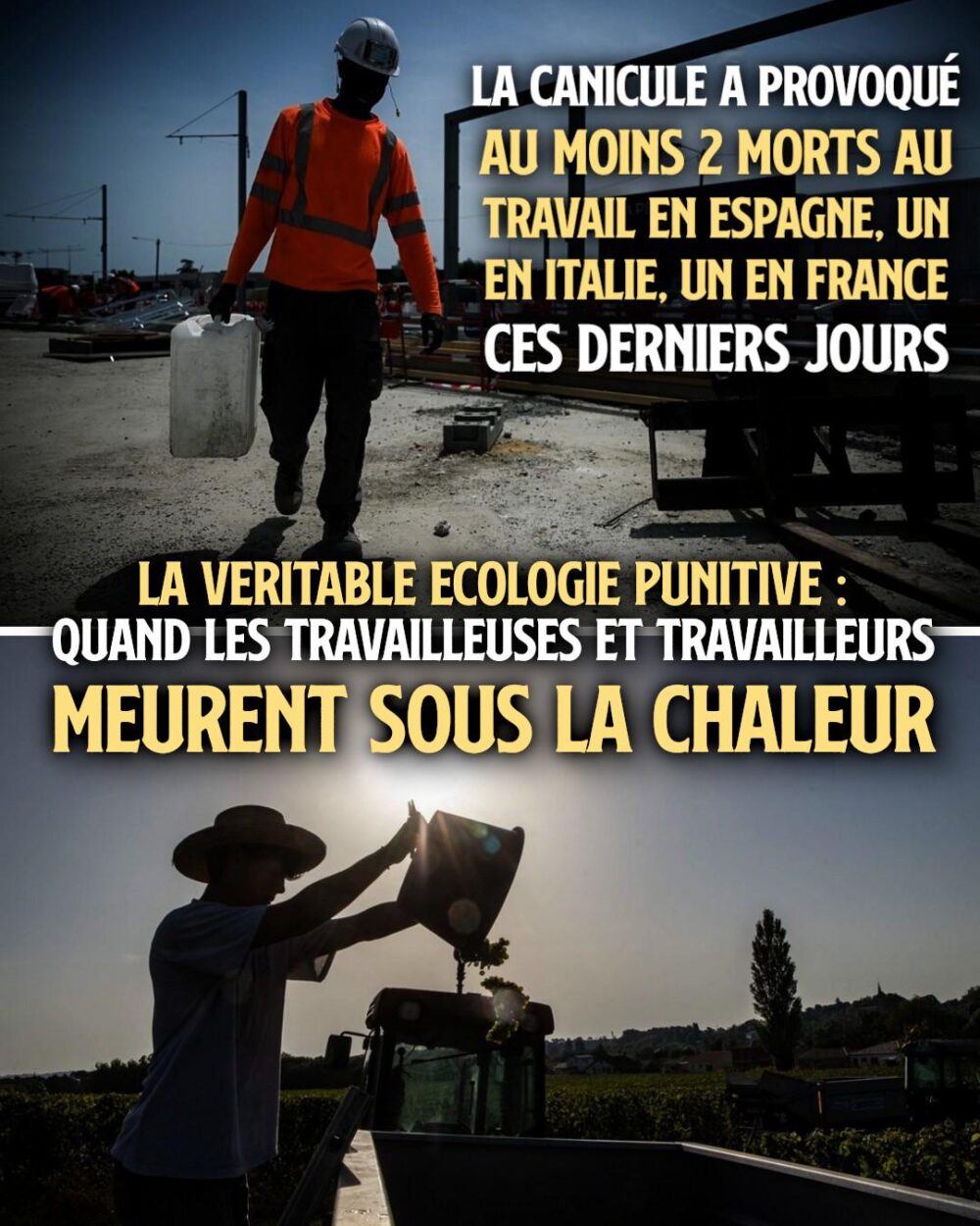 Que ce soit dans le BTP ou l'agriculture, la chaleur peut être mortelle pour les travailleurs et travailleuses.