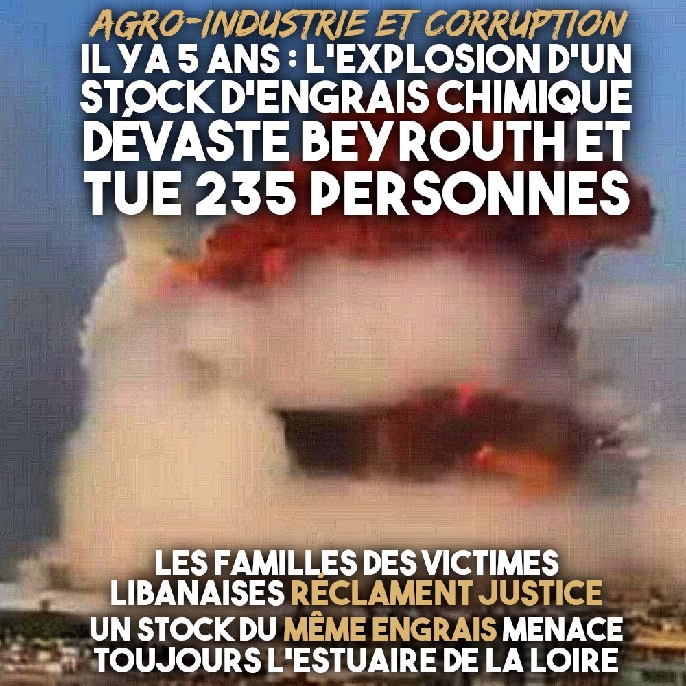L'explosion du port de Beyrouth, avec un blast et un panache de fumée impressionnant.
