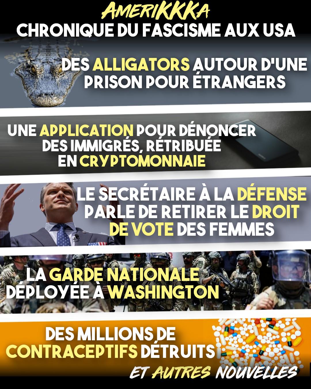 Torture à «Alligator Alcatraz», déportation d’opposants politiques, remise en cause du droit de vote des femmes, envoi de la garde nationale à Washington : des nouvelles de «la plus grande démocratie du monde» et plus grande puissance économique et militaire de la planète.