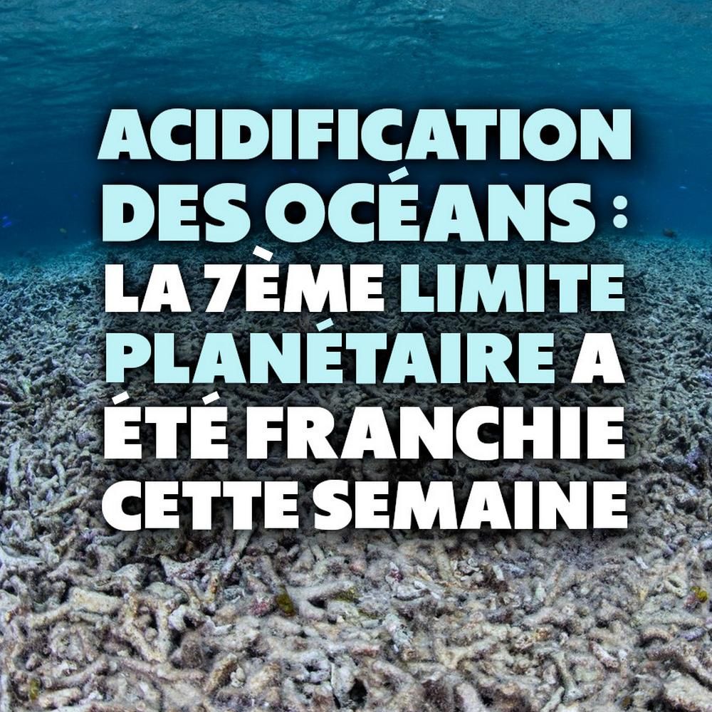 Le fond de l'océan paraît complètement mort : l'acidification des océans risque de bouleverser l'écosystème marin.