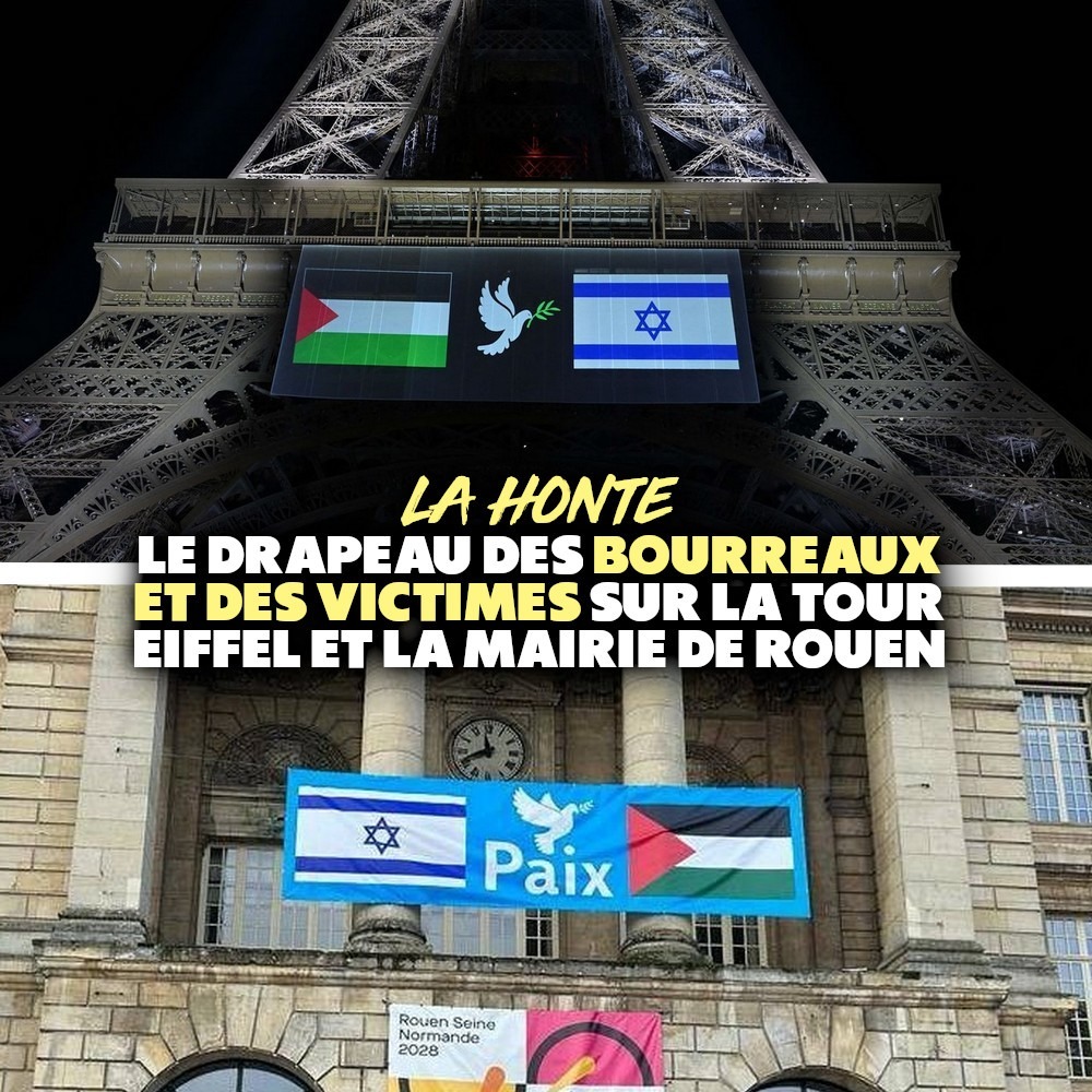 Sur la tour Eiffel et sur la mairie de Rouen, les drapeaux de la Palestine et d'Israël séparés par une colombe de la paix : une façon de laver les mains des génocidaires.