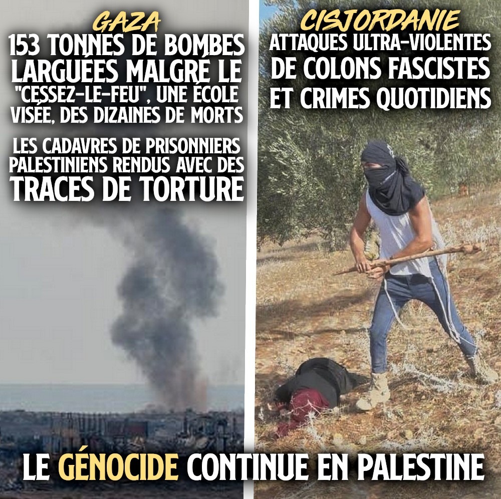 À gauche, Gaza sous les bombes malgré le cessez-le-feu, à droite un colon après avoir frappé une femme avec un bâton alors qu'elle cueillait des olives : le génocide se poursuit en Palestine.