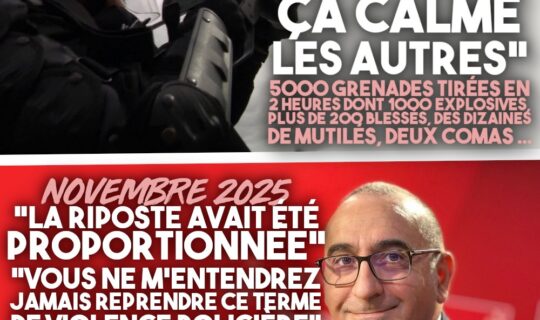 Un gendarme à Sainte-Soline : "T'en crèves deux-trois, ça calme les autres". Laurent Nunez, ministre de l'intérieur : "La riposte avait été proportionnée"