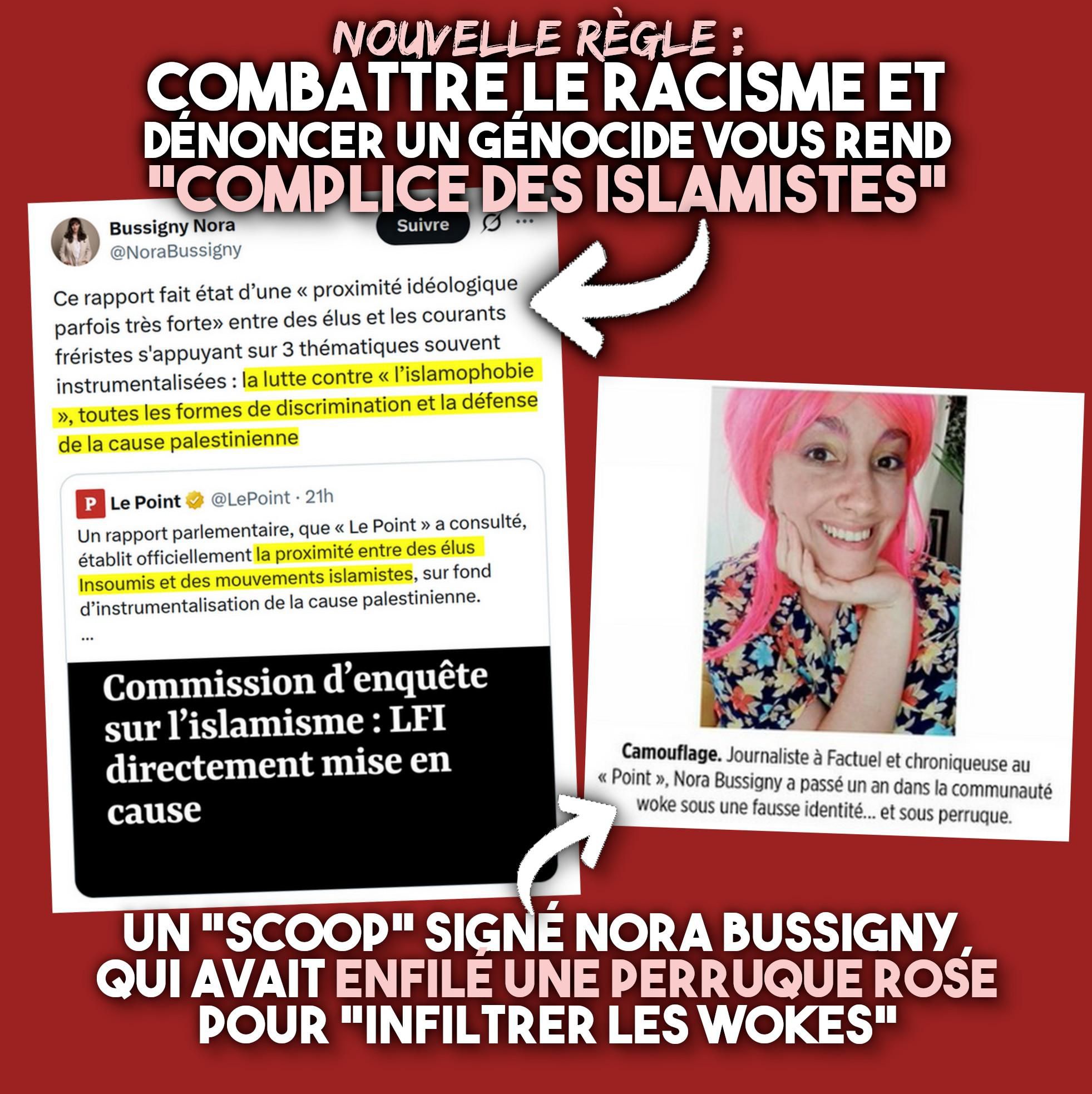 L'article du Point sur la lutte contre l'islamophobie qui serait de l'islamisme, et Nora Bussigny coiffée d'une perruque rose pour infiltrer les wokistes.