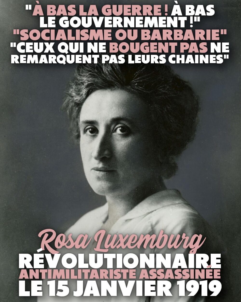 «À bas la guerre ! À bas le gouvernement !» «Devons-nous nous laisser entraîner lamentablement dans une guerre ? Jamais !» «Ceux qui ne bougent pas ne remarquent pas leurs chaînes» Ces citations de Rosa Luxemburg au-dessus de son portrait