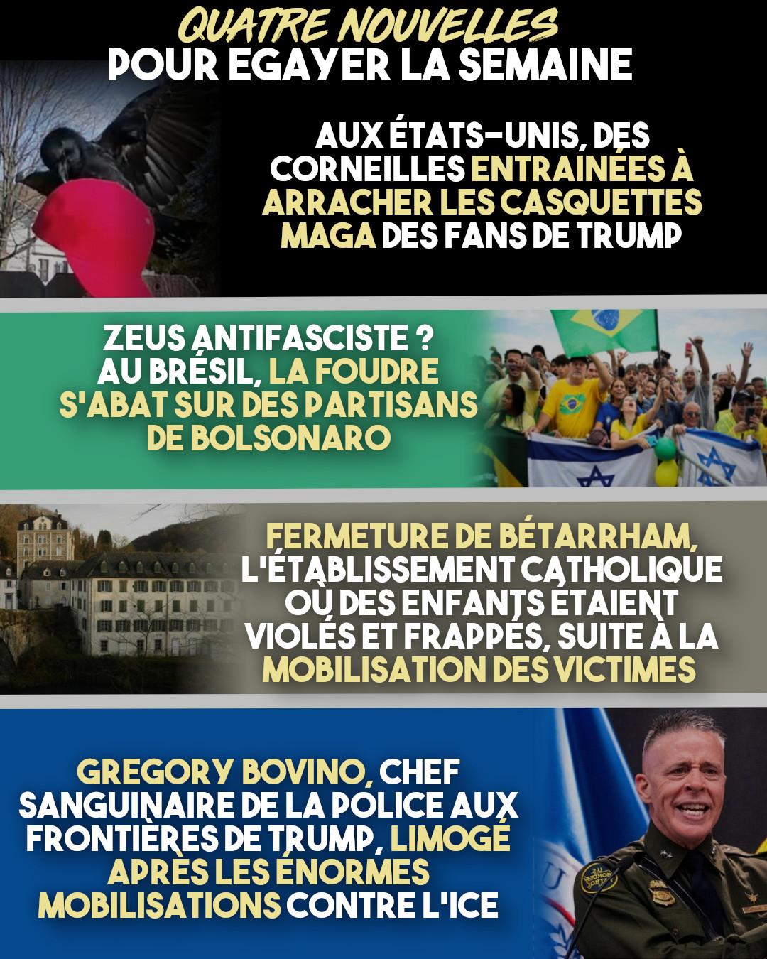 Des corneilles entraînées à arracher des casquettes MAGA, la foudre s'abat sur une manifestation fasciste au Brésil, la fermeture de Bétharram et Gregory Bovino viré : quatre bonnes nouvelles cette semaine !