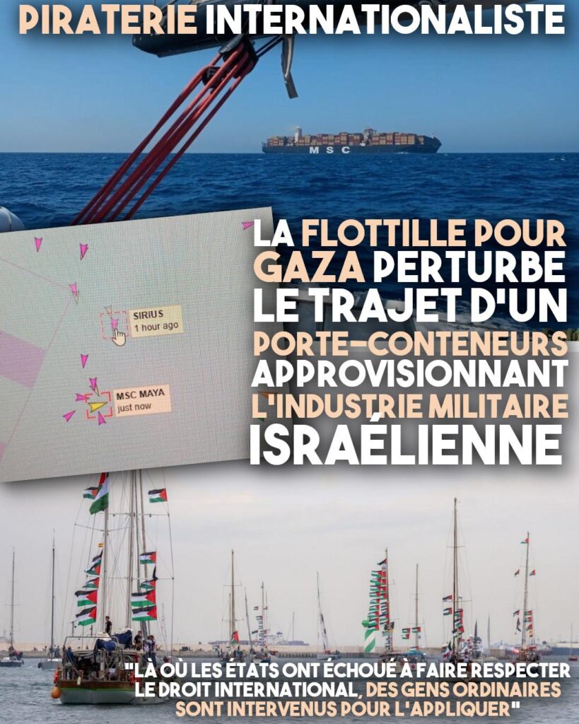 Le MSC Maya, chaérg d'acier pour l'armement israélien, détourné par la flottille de la liberté en solidarité avec Gaza.