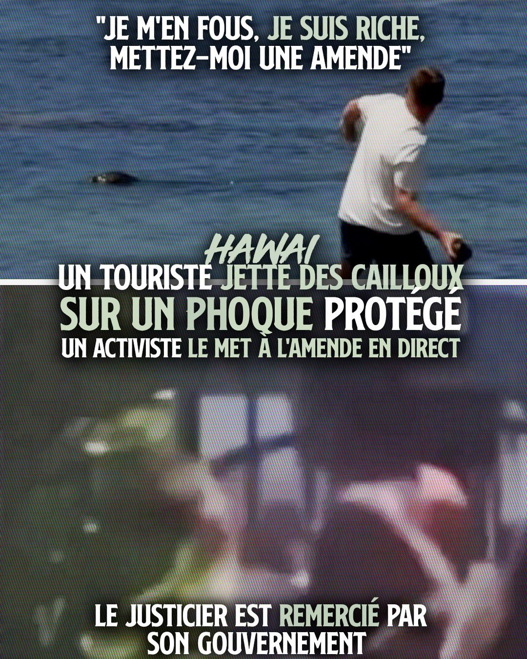 En haut : un touriste jette un énorme caillou sur un phoque qui n'a rien demandé. En bas : le même touriste se fait défoncer par un militant écologiste hawaïen.