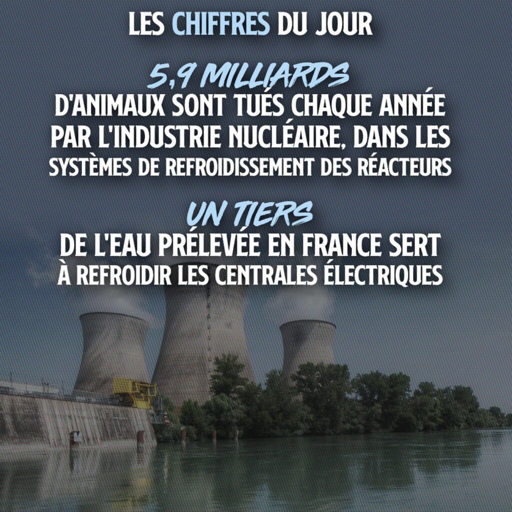 Une centrale nucléaire au bord d'un plan d'eau : ce mode de production d'électricité tue 6 milliards d'être vivants chaque année