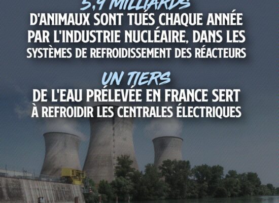 Une centrale nucléaire au bord d'un plan d'eau : ce mode de production d'électricité tue 6 milliards d'être vivants chaque année