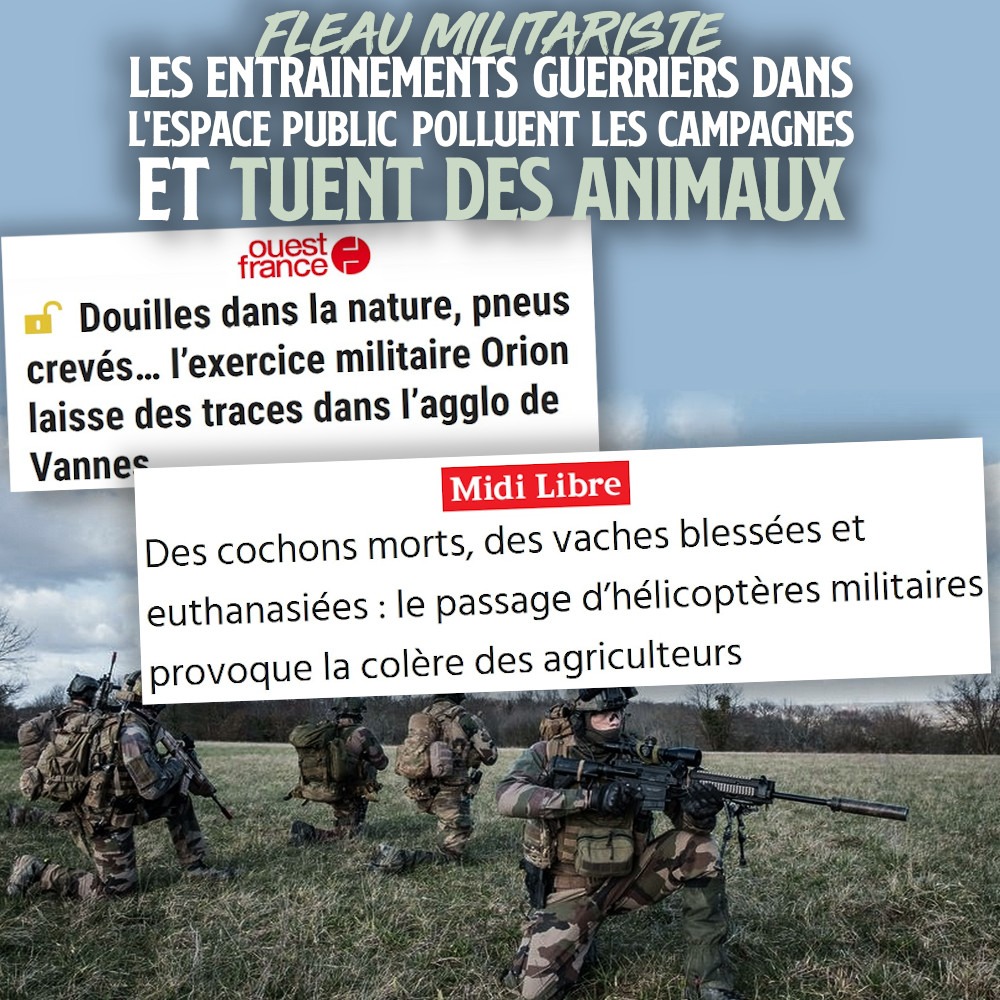 Des militaires réalisant des exercices avec des fusils d'assaut dans la campagne.