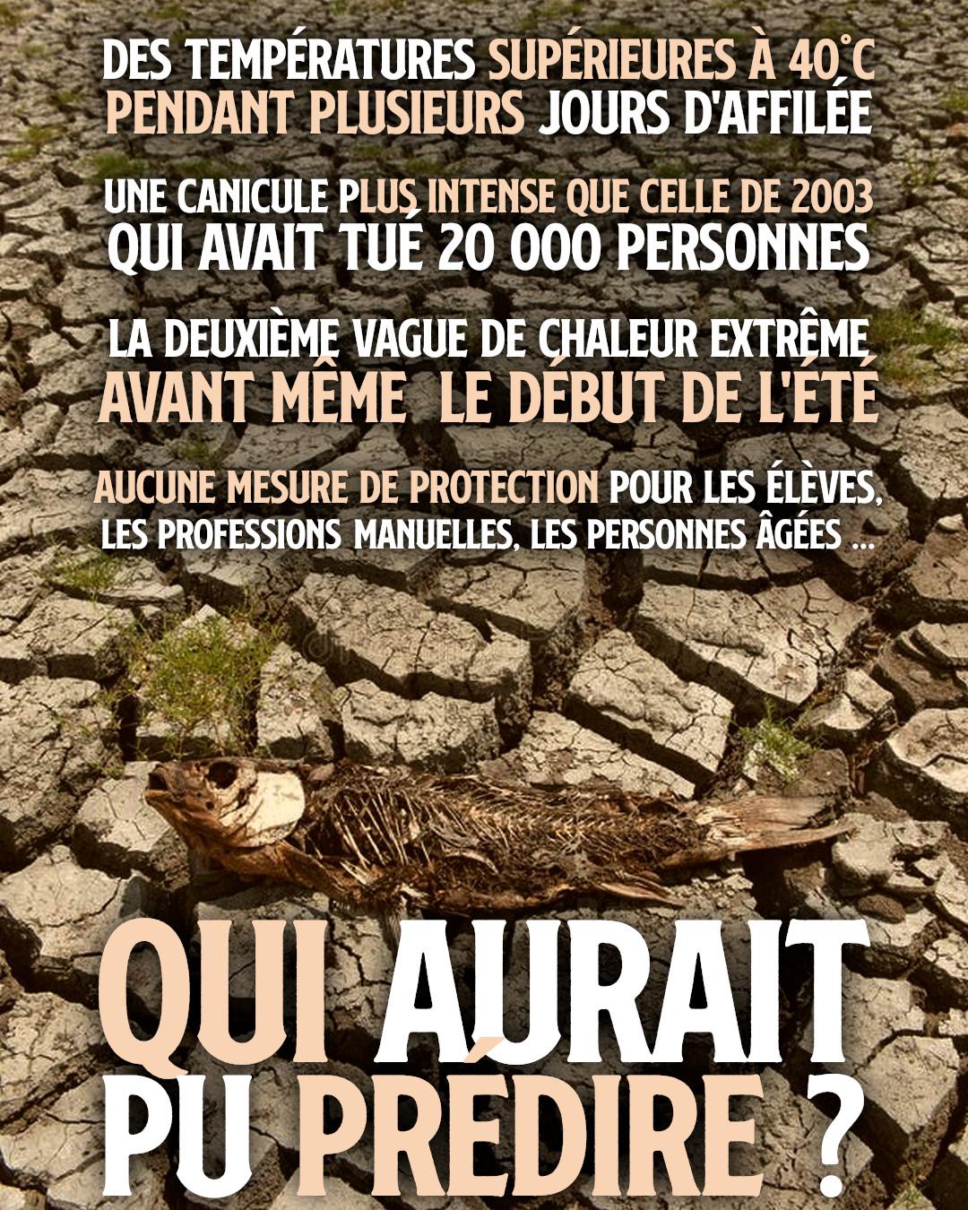 Un poisson mort sur un sol écaillé par la sécheresse : qui aurait pu prédire la succession des canicules ?