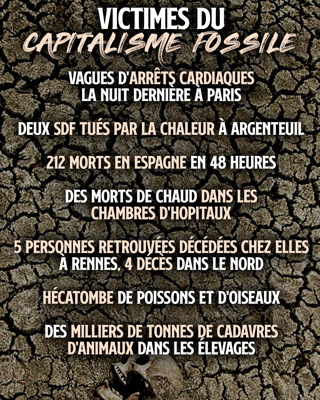 La canicule qui s'abat sur la France en cette fin juin ne fait pas que des ravages matériels : l'enfer climatique s'attaque au vivant dans son intégralité.