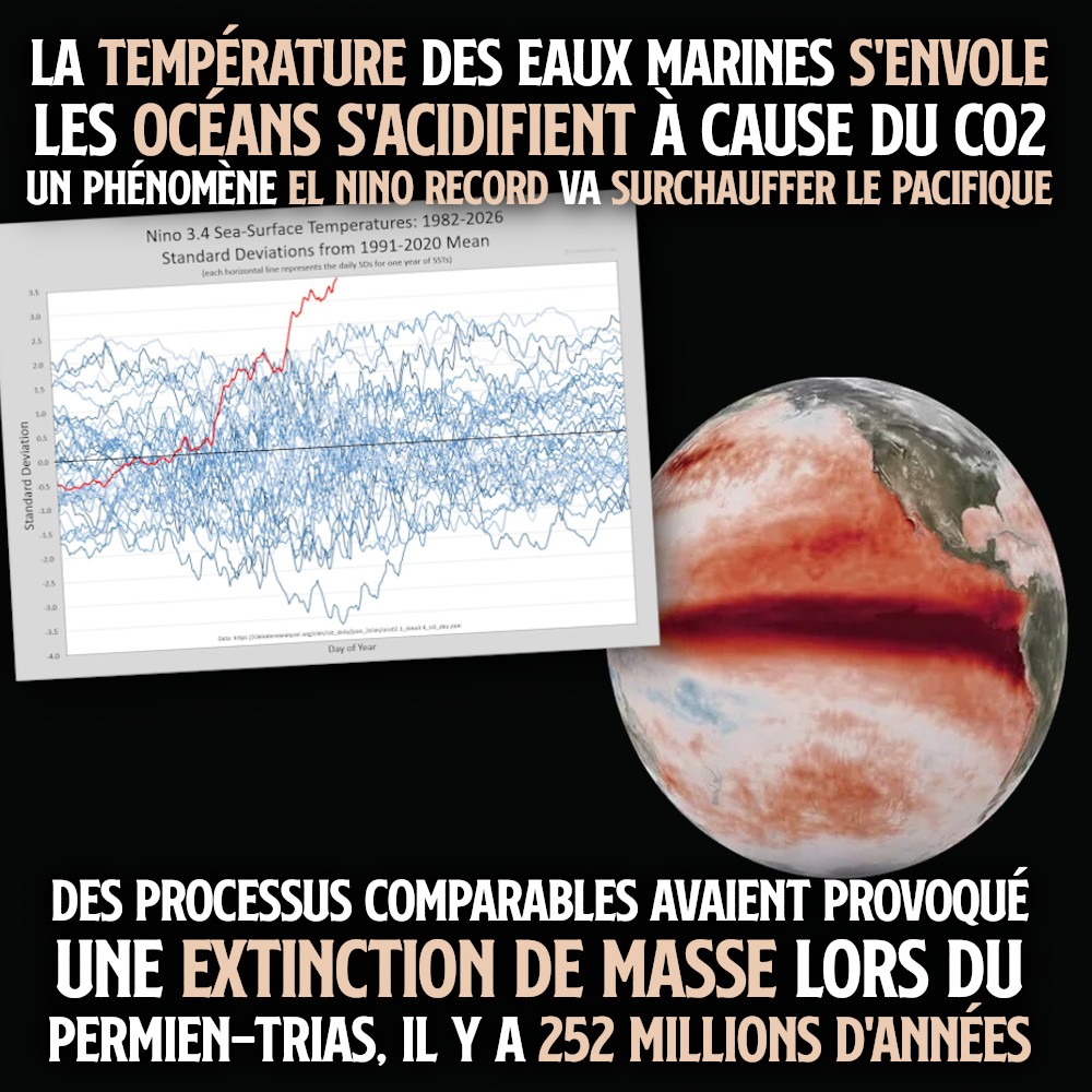 Un graphique et une carte montrent l'ampleur du phénomène El Niño : la mer est en surchauffe.