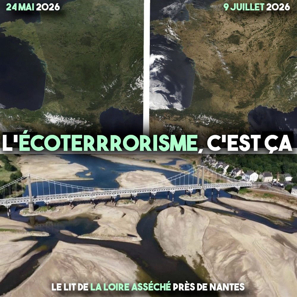 Deux images satellite, avant et après la série de canicules de 2026, et le lit de la Loire asséché près de Nantes.