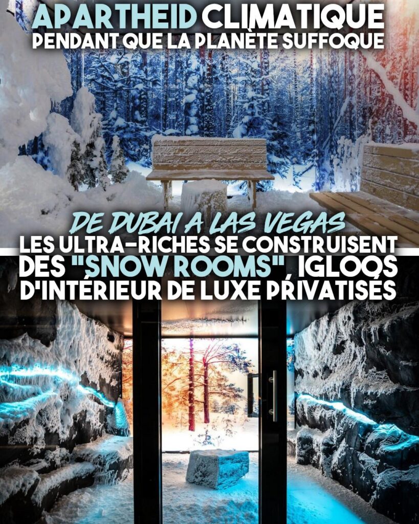 Une "snow room", sorte de chambre froide où tombe de la neige sur des rochers et des sapins pour permettre aux plus riches de se croire en montagne lorsque la planète crève de chaud.