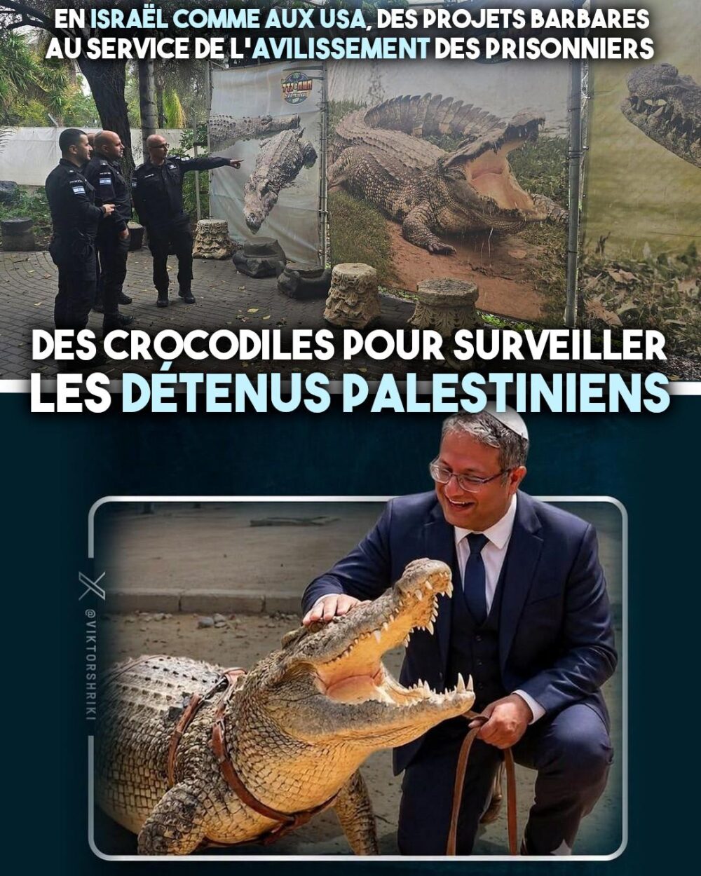 En Israël comme au États-Unis, des crocodiles pour intimider et déshumaniser les prisonniers, qu'ils soient migrants ou palestiniens