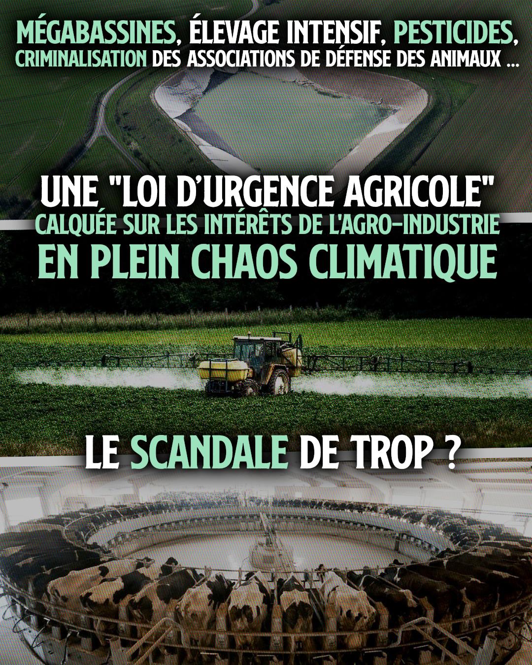 Loi d’urgence agricole : le scandale de trop ?