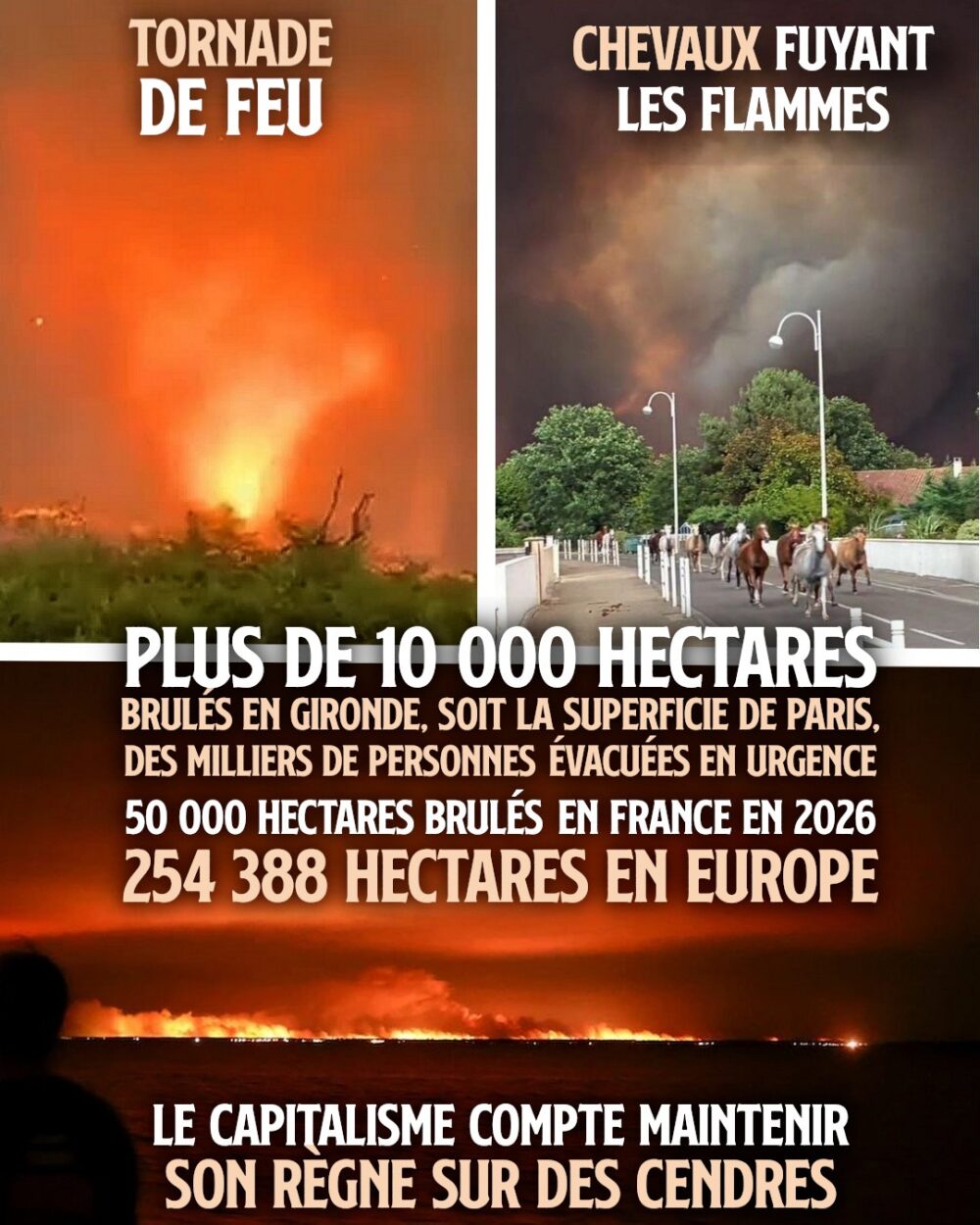 Une tornade de feu et des chevaux paniqués, deux images des incendies qui ravagent la France après la canicule