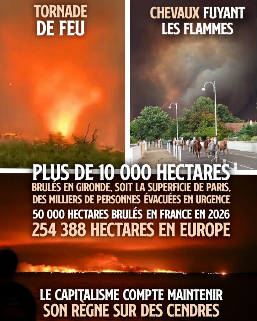 Une tornade de feu et des chevaux paniqués, deux images des incendies qui ravagent la France après la canicule