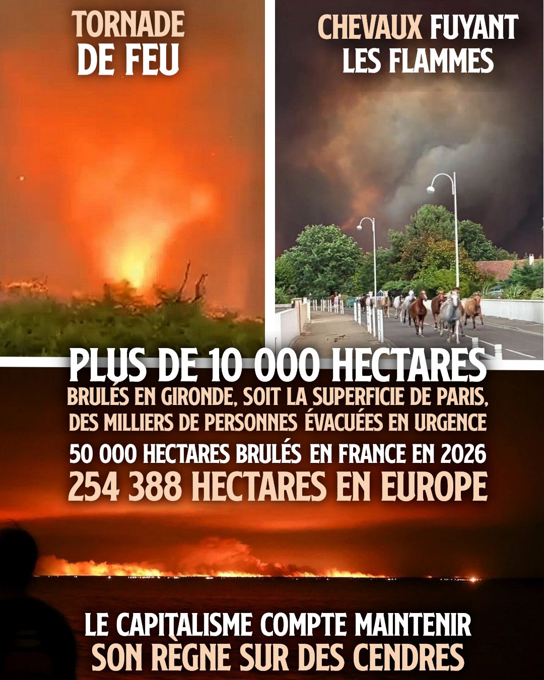 Méga-feux partout : le capitalisme nous précipite en enfer