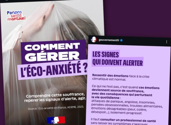 La nouvelle campagne du gouvernement sur les réseaux : «Comment gérer l'éco-anxiété».