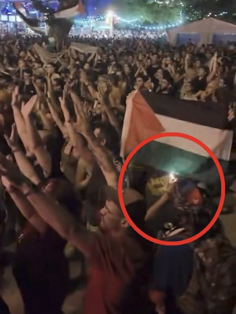 Une personne tente de brûler un drapeau palestinien pendant l'action au concert de Barbara Butch