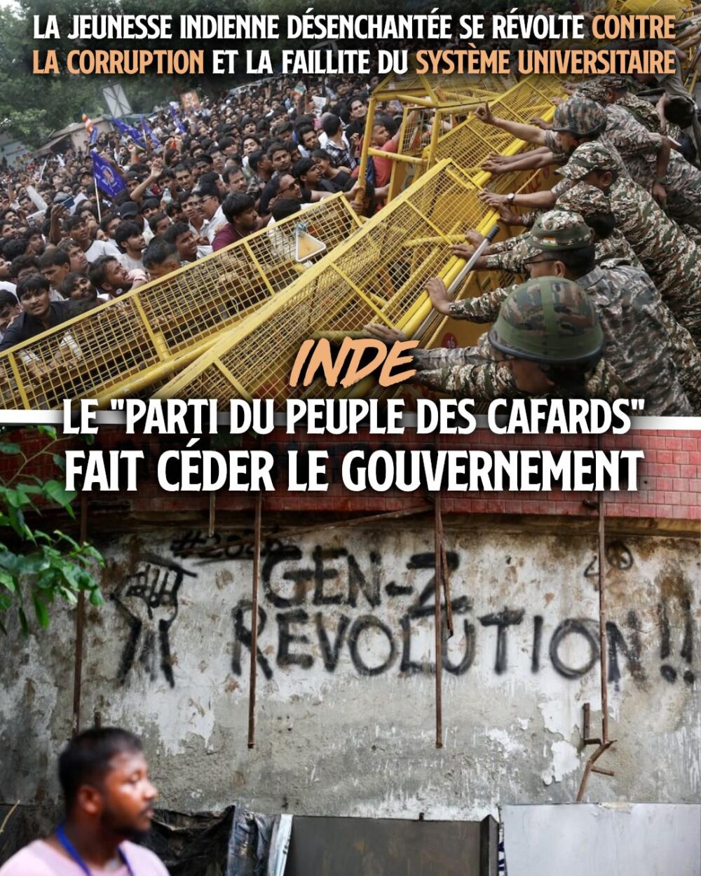 En Inde, le peuple des cafards bordélise le pays.