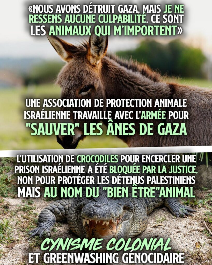 En haut un âne, en bas un crocodile : les droits des animaux préoccupent d'avantage la société israélienne que le sort des palestiniens qui subissent un génocide.