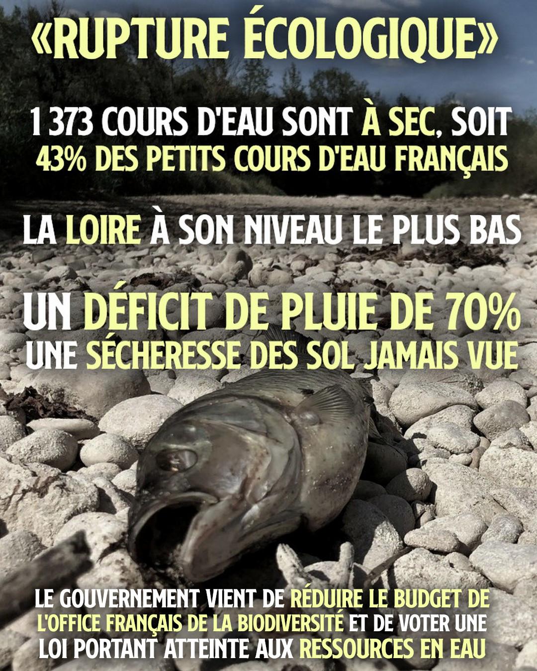 Un poisson mort dans le lit d'une rivière asséchée : une conséquence de la sécheresse qui touche la France actuellement