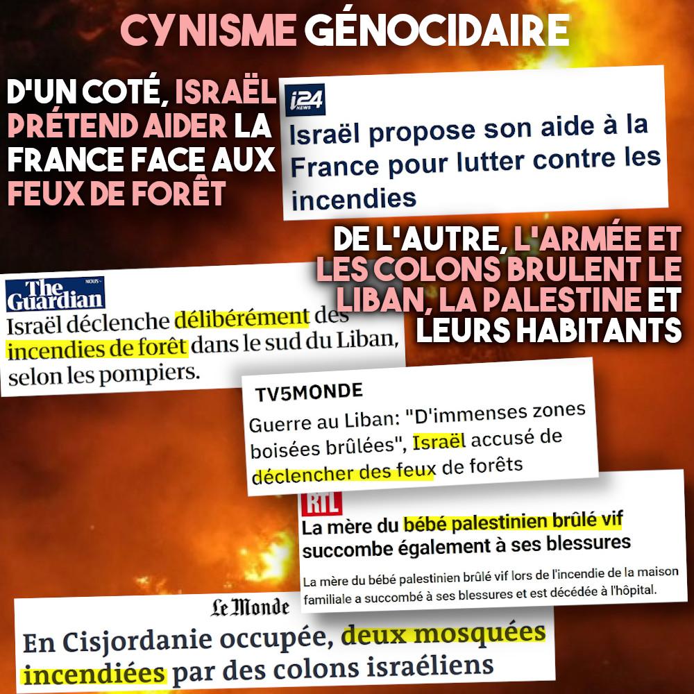 Un État pyromane propose son expertise à la France, le cynisme des sionistes est sûrement à ce jour inégalé.