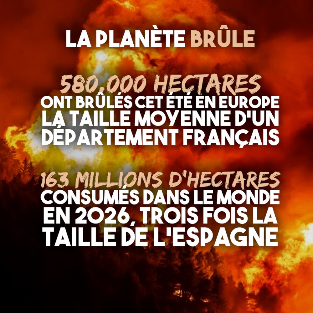 Les chiffres des dégâts provoqués par le chaos climatique en Europe et dans le monde donnent le vertige.